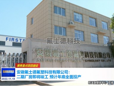 安徽氟士德氟塑科技有限公司媒体采访